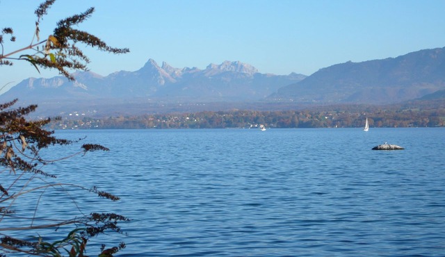 GROUND-FLOOR APARTMENT IN HOUSE NEAR SANDY BEACH