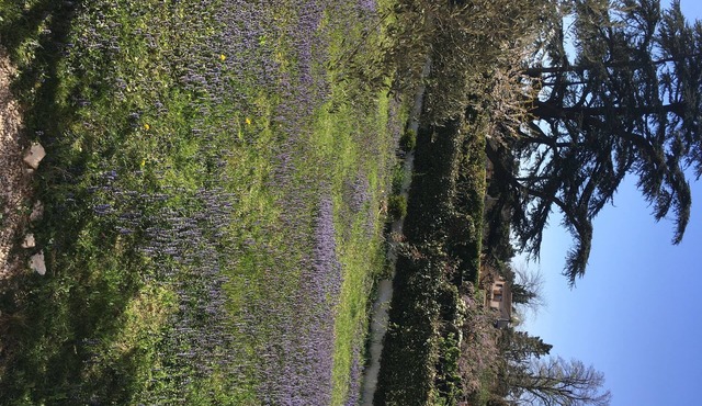 Ground floor apartment in private and quiet subdivision Avignon /Montfavet