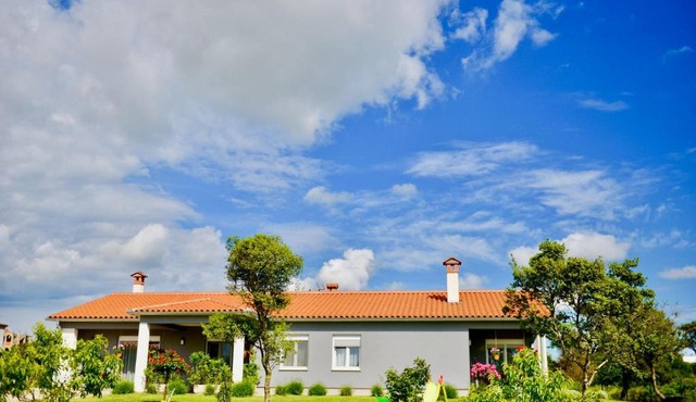 Ground Floor Apartments With Spacious Backyard