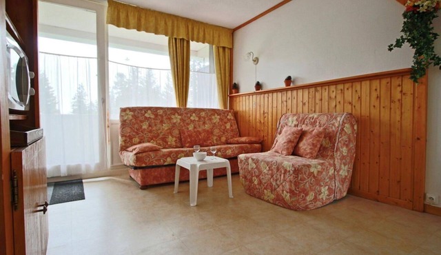 Ground floor, balcony, tv, ski locker, 19m², Chamrousse