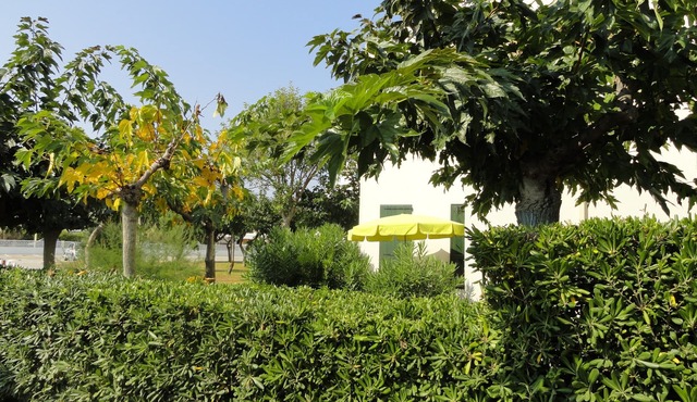 GROUND FLOOR DIRECT ACCESS BEACH 'uncrowded' Gde Terrace