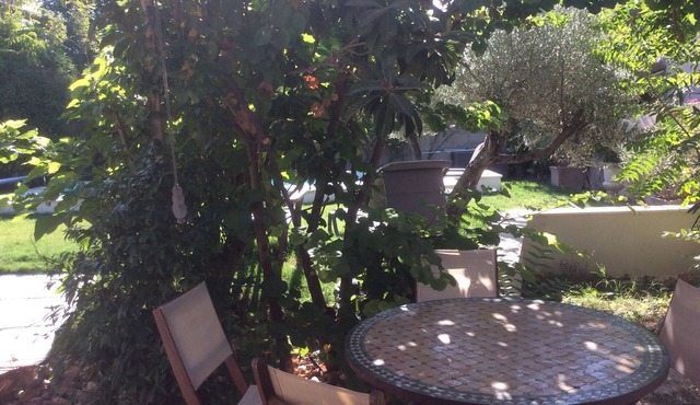 Ground floor house with swimming pool, 8km from Avignon