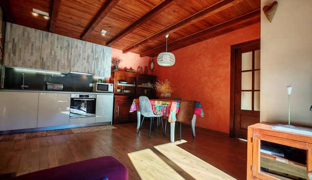 Ground floor with garden and barbecue - Puig Falcó 2