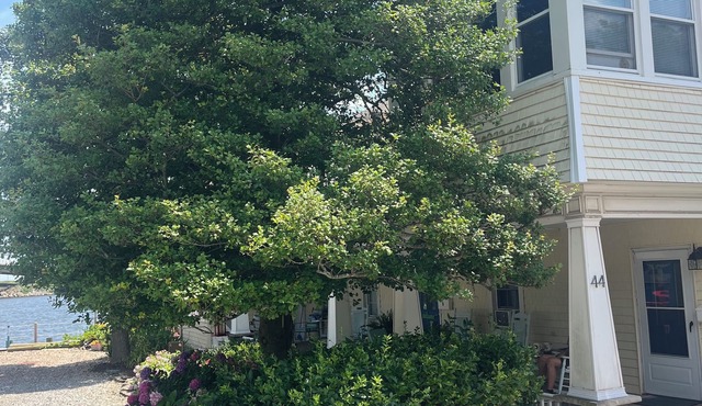 Ground floor water side 1-bedroom cottage. Rocking chair front porch. No stairs