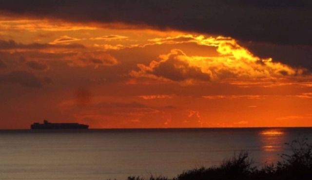 Ground floor with terrace, parking, pets allowed near the sea