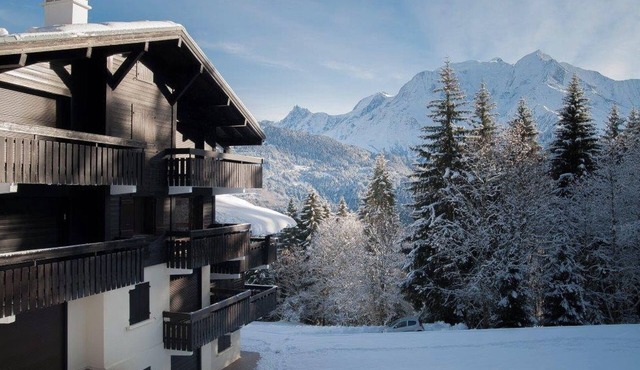 Ground floor apartment, view of Mont-Blanc from the terrace