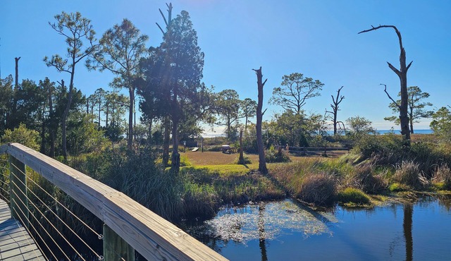 Ground Level, Bayside Retreat w/bay access!