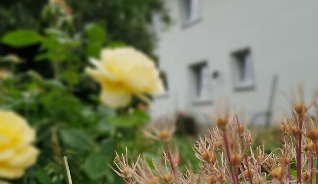 Group accommodation for nice meetings with friends, family and friends in Wehretal