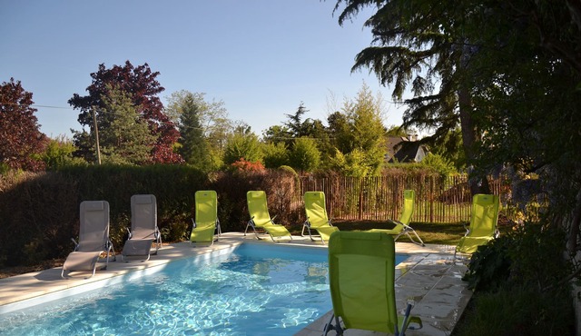 Group gîte with pool and SPA in Blois