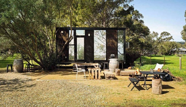 Grove at Peasant Farm by Tiny Away