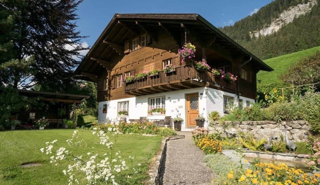 Gstaad Duplex Flat - Amazing Lake Chalet with pond