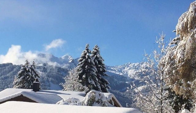 Gstaad - Luxury Flat in Schonried with Great Views
