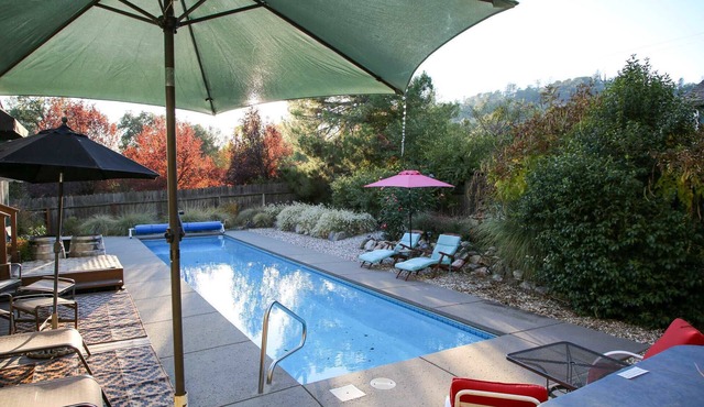 Guadalupe's Garden -