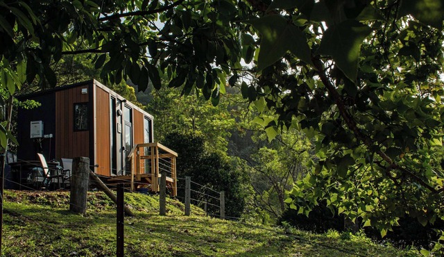 Guanaba Farm by Tiny Away