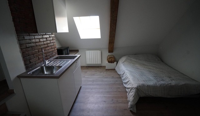 Guest Beautiful studio annecy lake