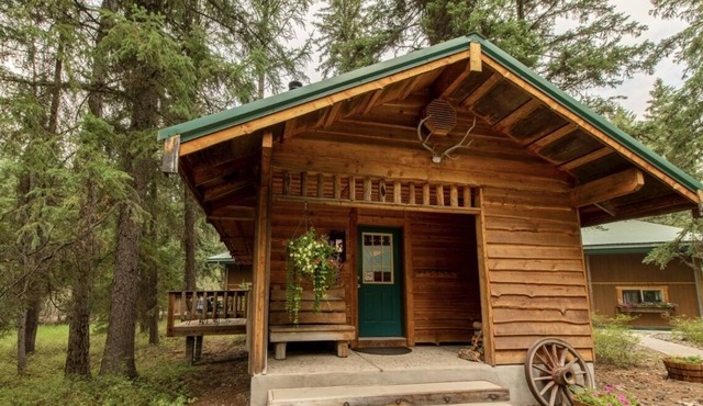 Guest Cabin with catch and release fishing on site!