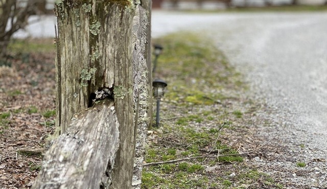 Guest Cottage,Dog friendly, minutes to Clayton, fenced yard, hot tub on patio.