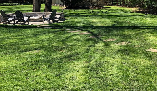 Guest cottage minutes from The Devon Horse Show