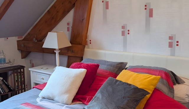 Guest Room 'Chambre T' with Shared Terrace & Garden, Wi-Fi Included