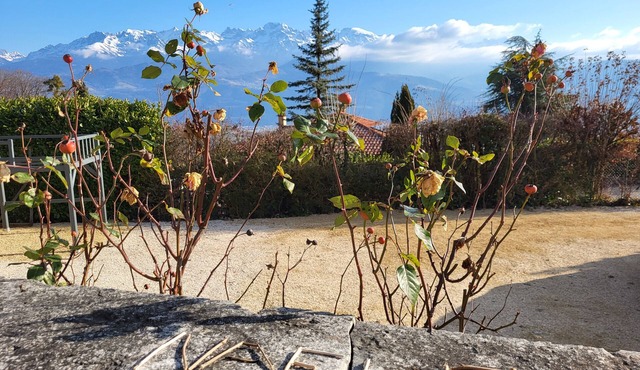 Guest house at the foot of the Chartreuse, 15 minutes from Grenoble!