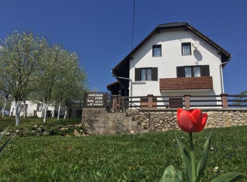 Guest House Aurora