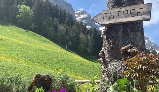 Guest House du Grand Paradis