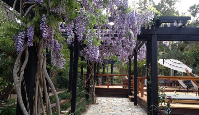 Guest House in Sunny Carmel Valley.