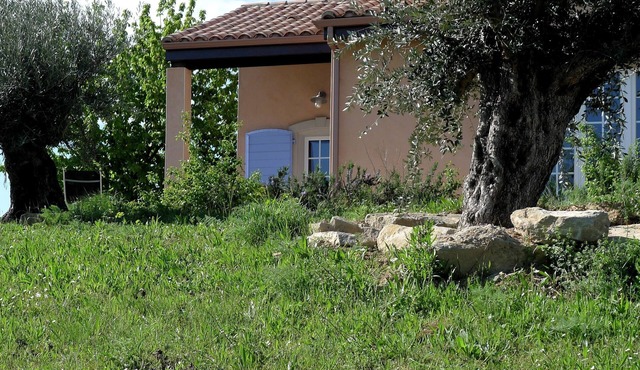 Guest house in the heart of nature, with horses and shared pool,15 min from Carcassone