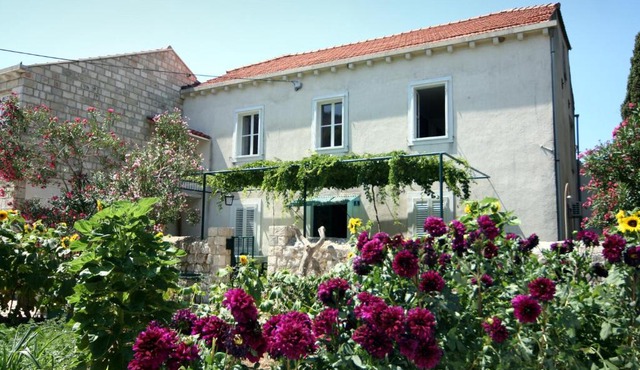 Guest House Katica