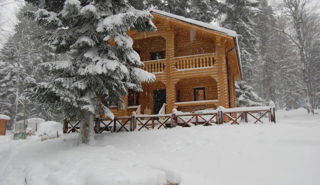 Guest House Lesogorie