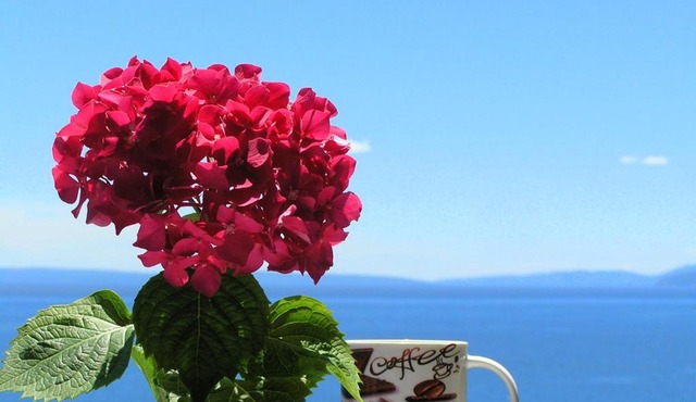 Guest House Lifestyle Holiday
