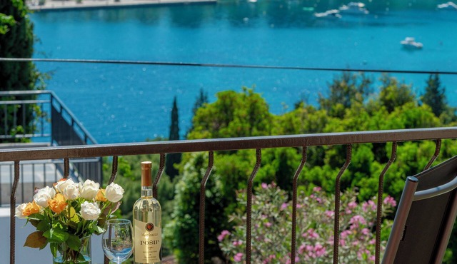 Guest House Medine