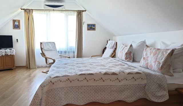 Guest house Usadba Surikova