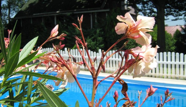 Guest House Westwood