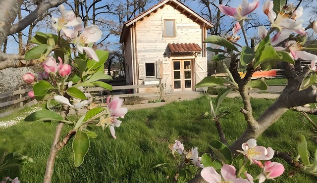 Guest Room 'Au Chant Des Oiseaux - Rouge Gorge -' in Varen, Wood-Fired Pizza and Wi-Fi