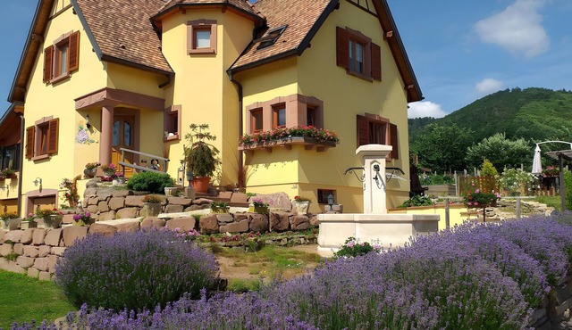 Guest Room 'La Châtelaine - Pinot Noir' with Mountain View, Shared Terrace & Wi-Fi
