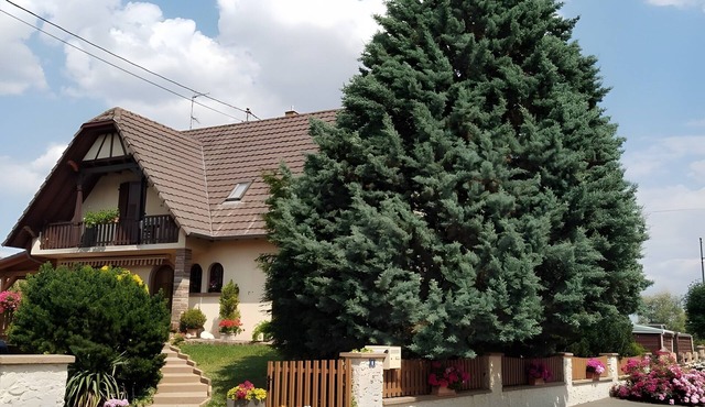 Guest Rooms - Pampas Room (+ Elie Room)