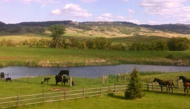 Guest Suite Farm Stay w/Alpacas, Chickens