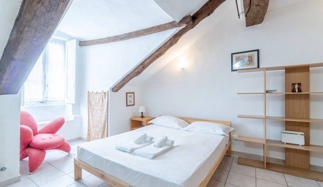 GuestHost - Nice and cozy apartment for 3 people, located in the city center, inside the prestigious Palazzo Saluzzo Paesana, one of the most beautiful historic buildings in Turin. We are located in the elegant district of Quadrilatero Romano, a stone's