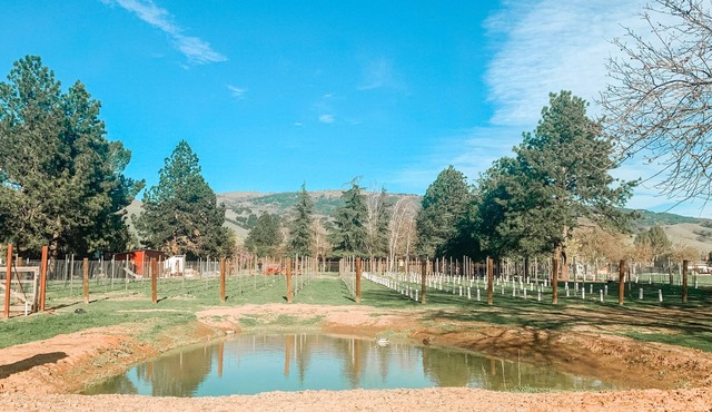 Guesthouse Farmstay @ BarrelCreek Farm & Vineyards