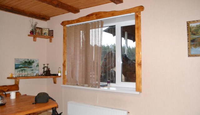 Guesthouse Konny dvor Loschinino