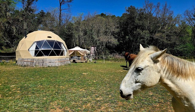 Guesthouse 'La Cabane Aux Chevaux' with Private Garden