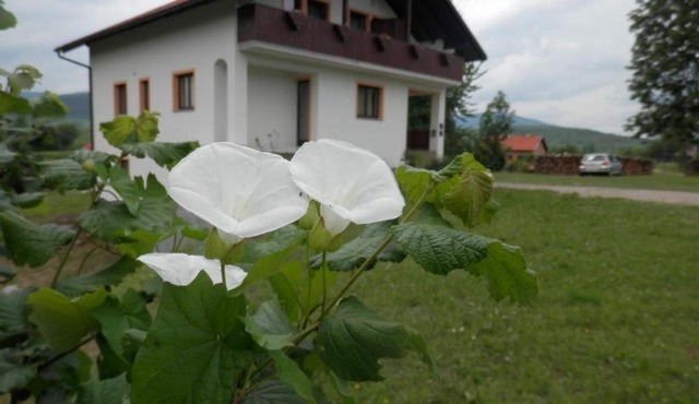Guesthouse Matija
