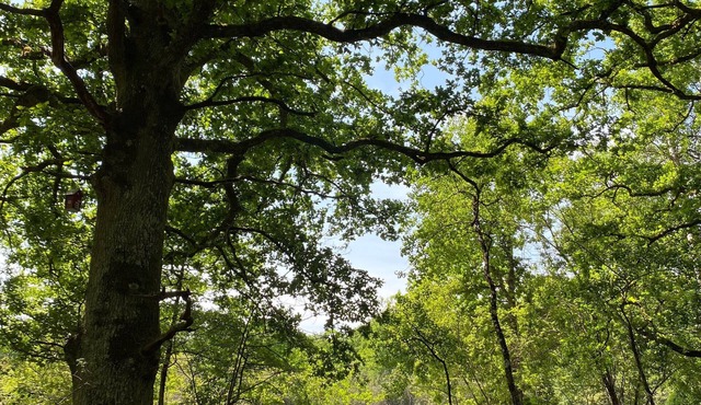 Guestroom Vannes-sur-Cosson, studio flat, 2 persons