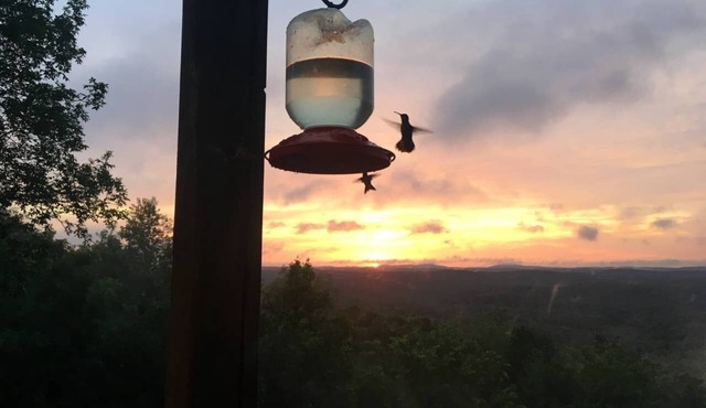 Guests enjoy their own one bedroom apartment in the Ozarks