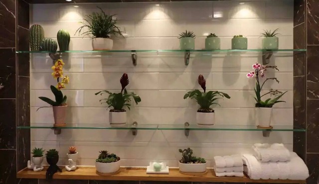 Guests Studio