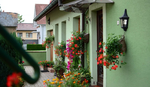 Guewenheim Haut-Rhin cottage for 4 people