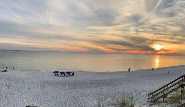 Gulf Front Private beach dog friendly with additional non refundable pet fee