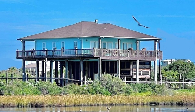 Gulf Pelican Villa - OCEANFRONT Luxury Oasis - Fully Fenced & Pet Friendly