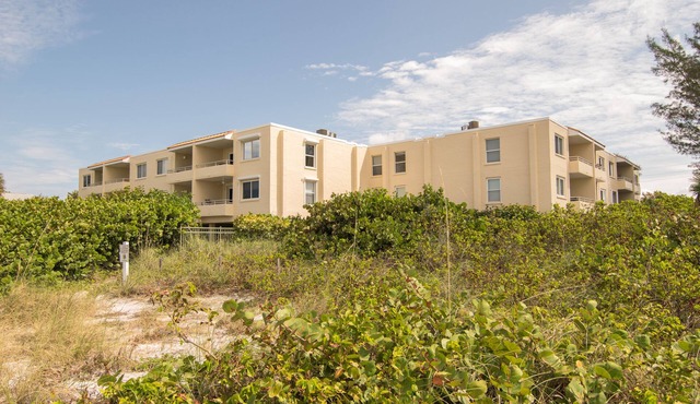 Gulf Sands 201 2/2 Condo Gulf Front With Large Pool